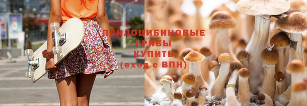 шишки Михайлов