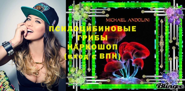 шишки Михайлов