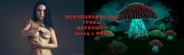 МДПВ Надым