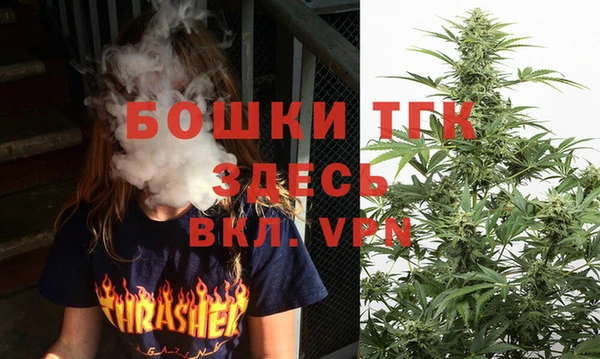 шишки Михайлов