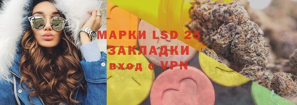 шишки Михайлов